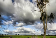 多特蒙德主场不敌狼堡，遭遇联赛两连败的简单介绍